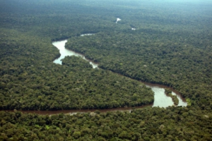 CUT condena extinção de reserva na Amazônia